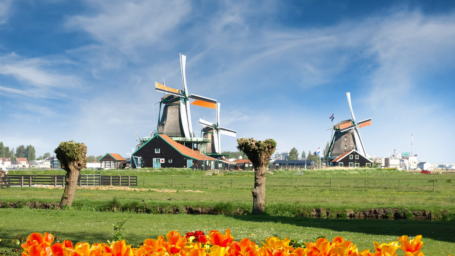 Zaanse Schans